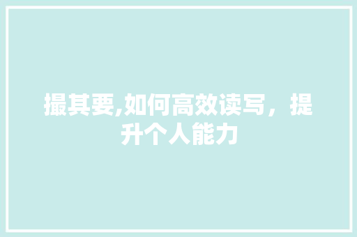 撮其要,如何高效读写，提升个人能力