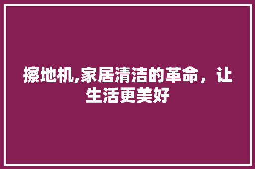 擦地机,家居清洁的革命，让生活更美好