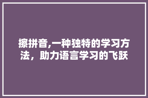 擦拼音,一种独特的学习方法，助力语言学习的飞跃