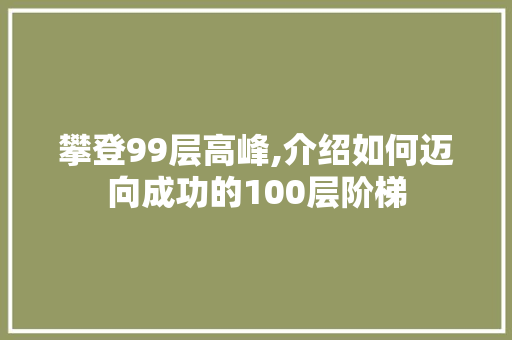 攀登99层高峰,介绍如何迈向成功的100层阶梯 WordPress教程