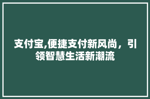 支付宝,便捷支付新风尚，引领智慧生活新潮流 WordPress教程
