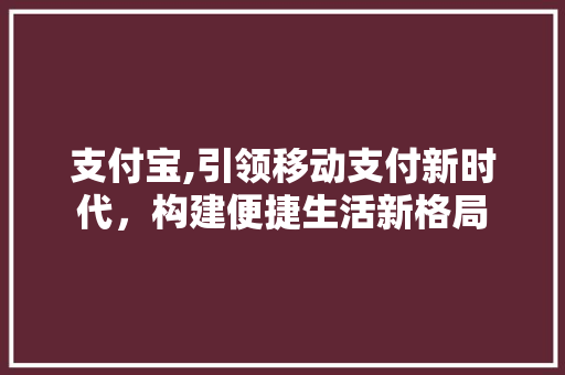 支付宝,引领移动支付新时代，构建便捷生活新格局