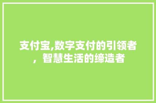 支付宝,数字支付的引领者，智慧生活的缔造者 服务器/数据库