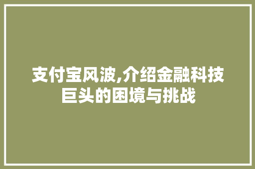 支付宝风波,介绍金融科技巨头的困境与挑战 建站教程