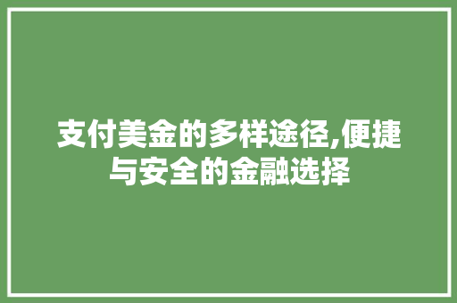 支付美金的多样途径,便捷与安全的金融选择