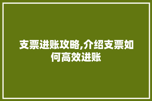 支票进账攻略,介绍支票如何高效进账