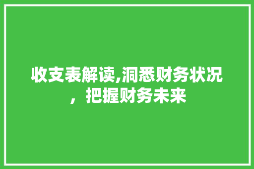 收支表解读,洞悉财务状况，把握财务未来