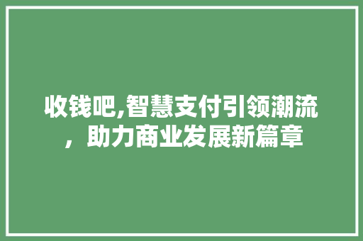 收钱吧,智慧支付引领潮流，助力商业发展新篇章