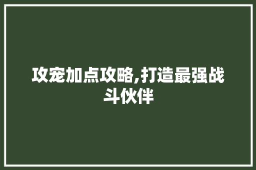 攻宠加点攻略,打造最强战斗伙伴