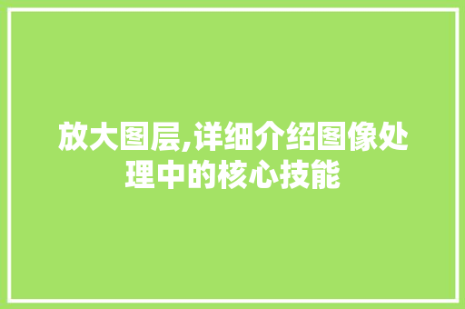 放大图层,详细介绍图像处理中的核心技能