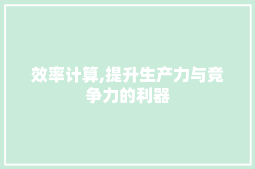 效率计算,提升生产力与竞争力的利器