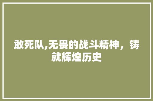 敢死队,无畏的战斗精神，铸就辉煌历史
