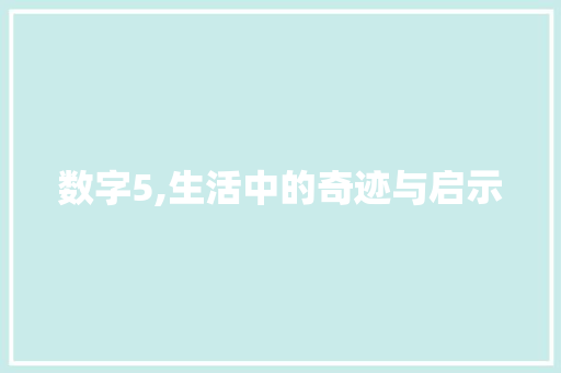 数字5,生活中的奇迹与启示