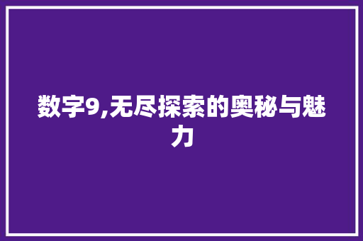 数字9,无尽探索的奥秘与魅力