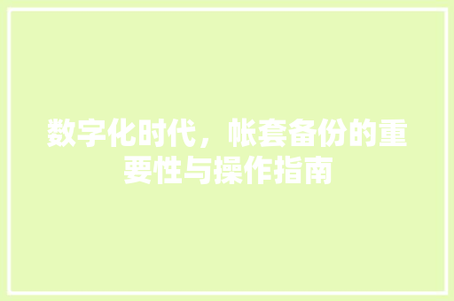 数字化时代，帐套备份的重要性与操作指南