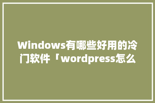 Windows有哪些好用的冷门软件「wordpress怎么设置中文」 Windows有哪些好用的冷门软件「wordpress怎么设置中文」 SEO教程