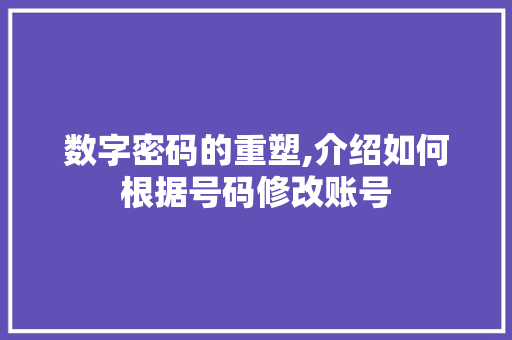 数字密码的重塑,介绍如何根据号码修改账号 服务器/数据库