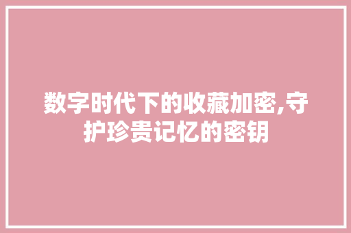 数字时代下的收藏加密,守护珍贵记忆的密钥 友链在线