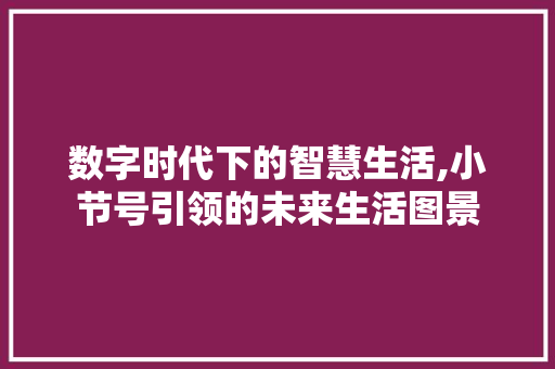 数字时代下的智慧生活,小节号引领的未来生活图景