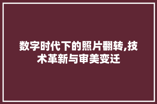 数字时代下的照片翻转,技术革新与审美变迁