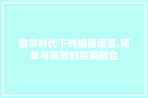 数字时代下的编程语言,简单与高效的完美融合