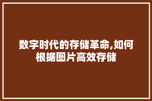 数字时代的存储革命,如何根据图片高效存储 友链在线