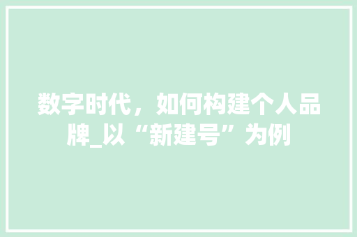 数字时代，如何构建个人品牌_以“新建号”为例