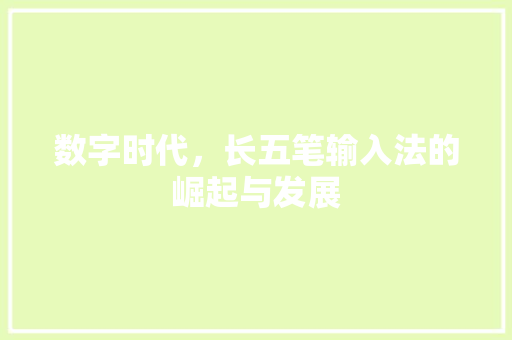 数字时代，长五笔输入法的崛起与发展