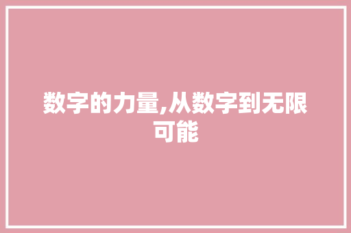 数字的力量,从数字到无限可能