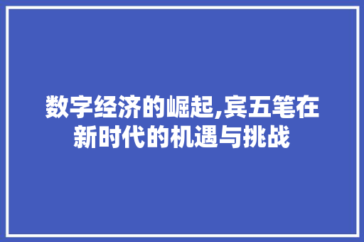 数字经济的崛起,宾五笔在新时代的机遇与挑战