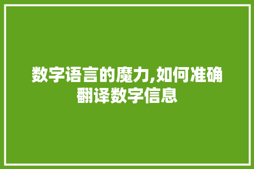 数字语言的魔力,如何准确翻译数字信息