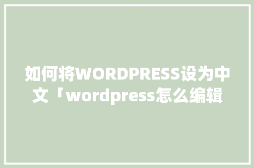 如何将WORDPRESS设为中文「wordpress怎么编辑」 如何将WORDPRESS设为中文「wordpress怎么编辑」 SEO教程