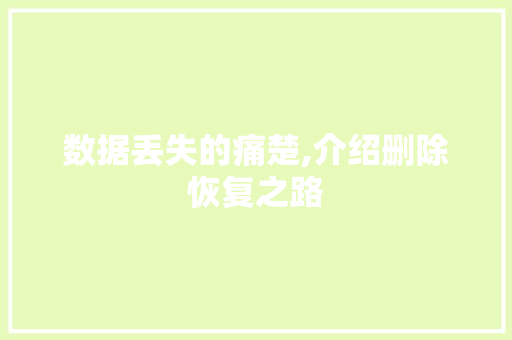 数据丢失的痛楚,介绍删除恢复之路