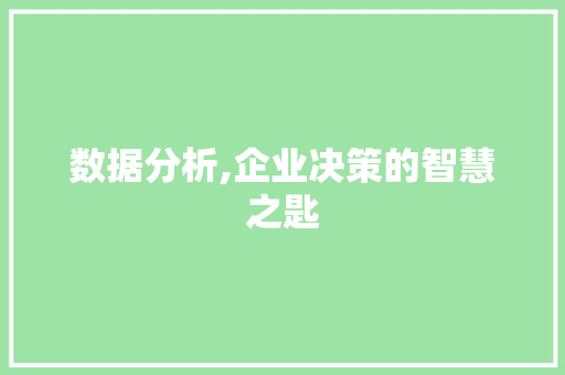 数据分析,企业决策的智慧之匙