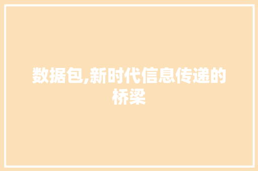 数据包,新时代信息传递的桥梁 友链在线