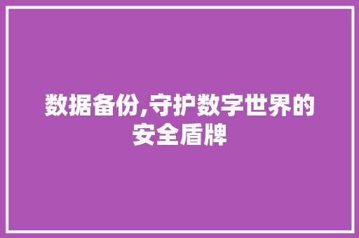 数据备份,守护数字世界的安全盾牌