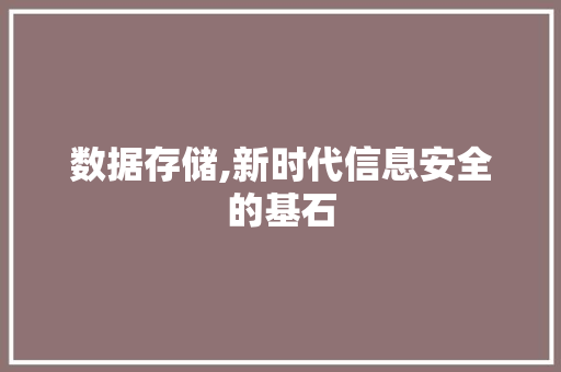 数据存储,新时代信息安全的基石