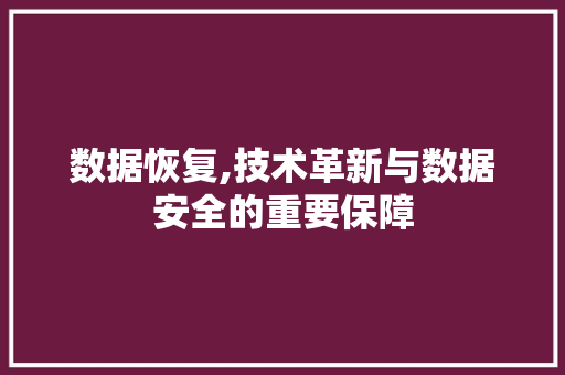 数据恢复,技术革新与数据安全的重要保障