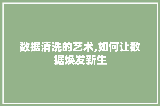 数据清洗的艺术,如何让数据焕发新生