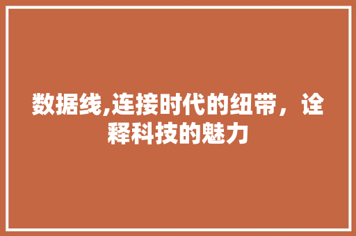 数据线,连接时代的纽带，诠释科技的魅力