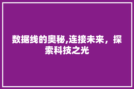 数据线的奥秘,连接未来，探索科技之光