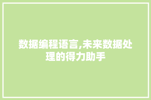 数据编程语言,未来数据处理的得力助手