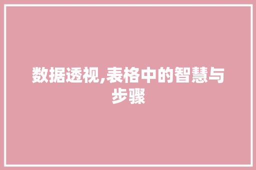 数据透视,表格中的智慧与步骤