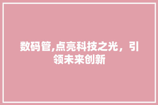 数码管,点亮科技之光，引领未来创新