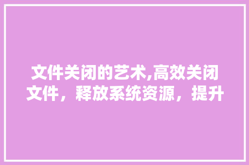 文件关闭的艺术,高效关闭文件，释放系统资源，提升办公效率