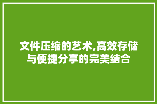 文件压缩的艺术,高效存储与便捷分享的完美结合