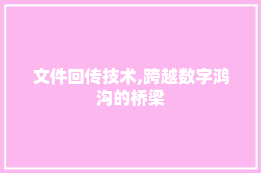 文件回传技术,跨越数字鸿沟的桥梁 Web前端