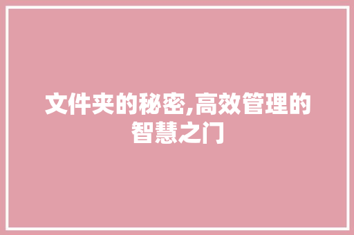 文件夹的秘密,高效管理的智慧之门 SEO教程