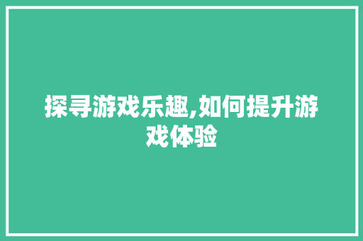 探寻游戏乐趣,如何提升游戏体验