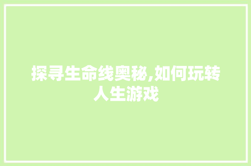探寻生命线奥秘,如何玩转人生游戏 SEO教程